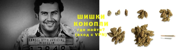 СК Заводоуковск