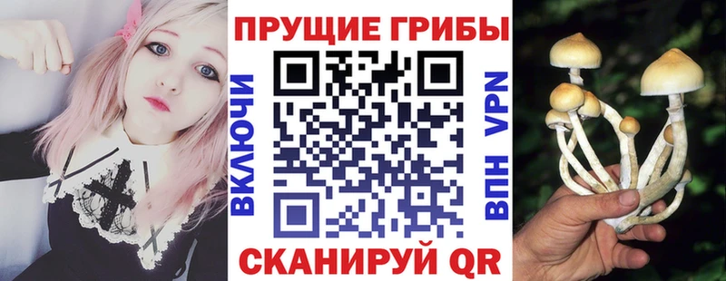 Псилоцибиновые грибы MAGIC MUSHROOMS  Оренбург 